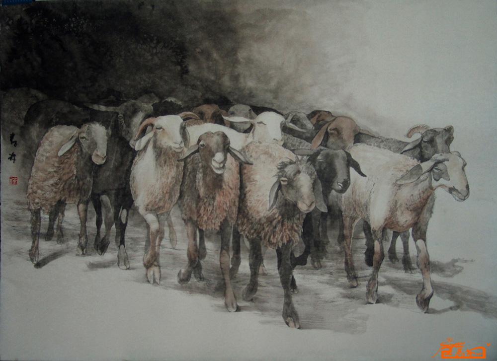 牧羊9
